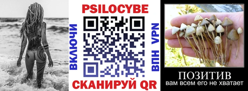 Купить  Дудинка  Псилоцибиновые грибы Psilocybine cubensis 