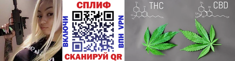 Бошки Шишки ГИДРОПОН  Купить закладки  Дудинка 